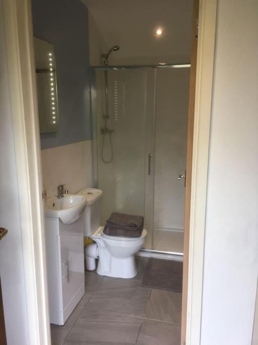 Cabin Pren , Darowen , Machynlleth Lejlighed Eksteriør billede