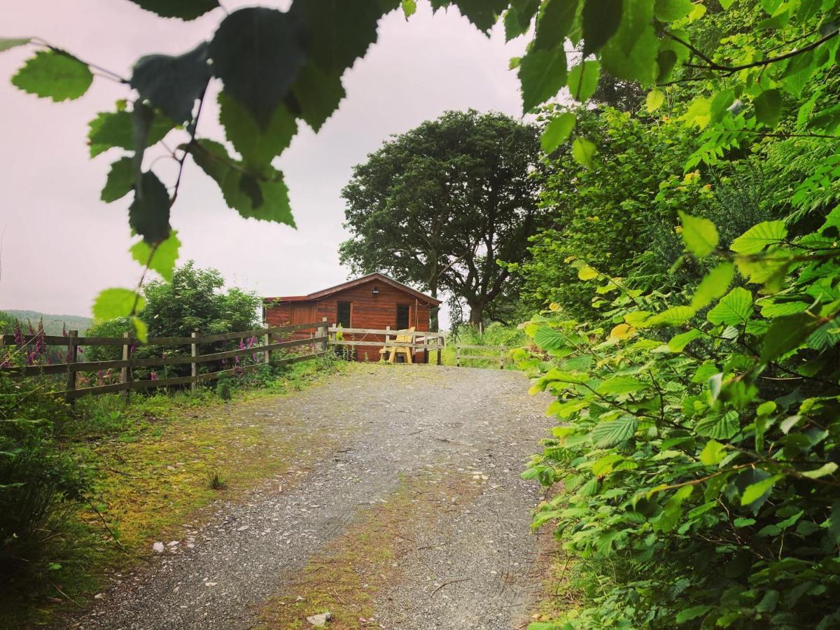 Cabin Pren , Darowen , Machynlleth Lejlighed Eksteriør billede